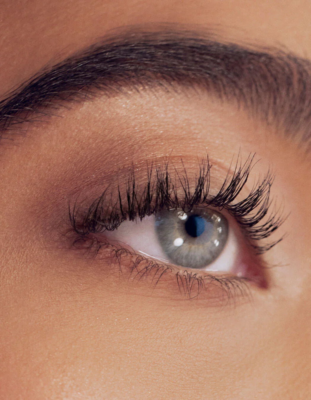 RevitaLash® Advanced Eyelash Serum – Lash Enhancing Conditioner - Image 4
